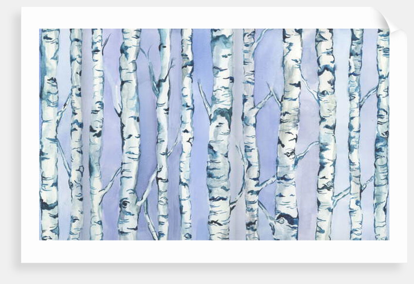 Silverbirch Forest, 2018 by Elizabeth Rider