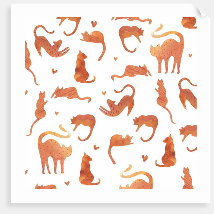 Ginger Tomcats, 2017 by Elizabeth Rider