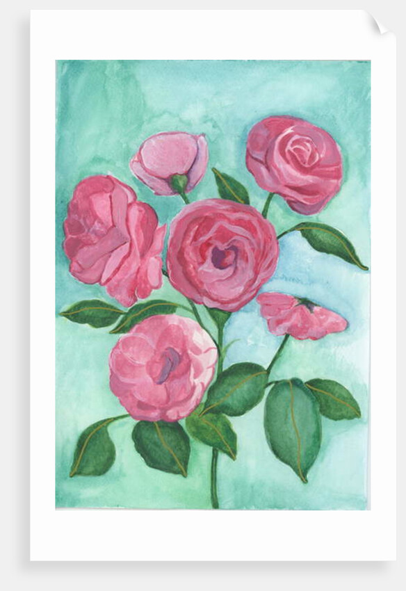 Pink Roses, 2017 by Elizabeth Rider