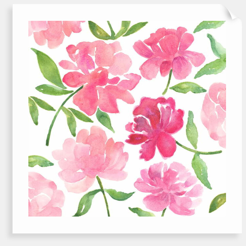 Peonies, 2018 by Elizabeth Rider