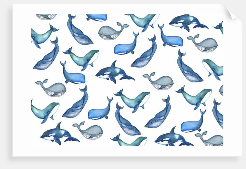 Whales, 2017 by Elizabeth Rider