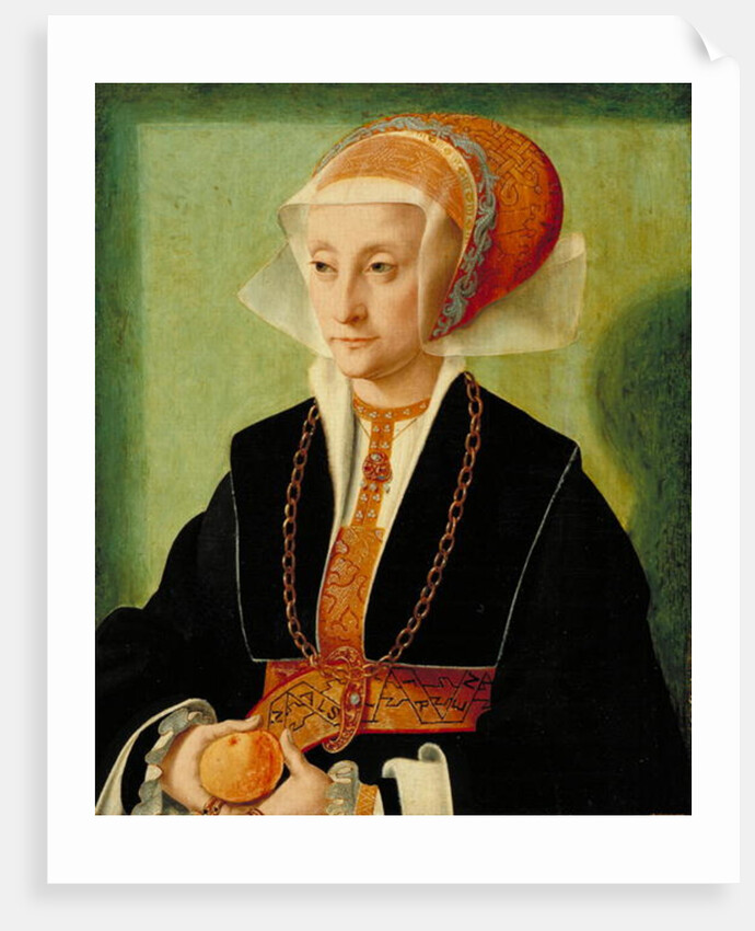 Portrait of a Lady, c.1539 by Bartholomaeus the Elder Bruyn