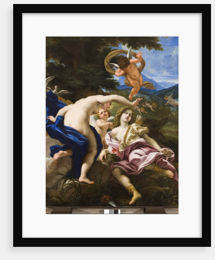 The Death of Adonis, c.1683-85 by Il Baciccio