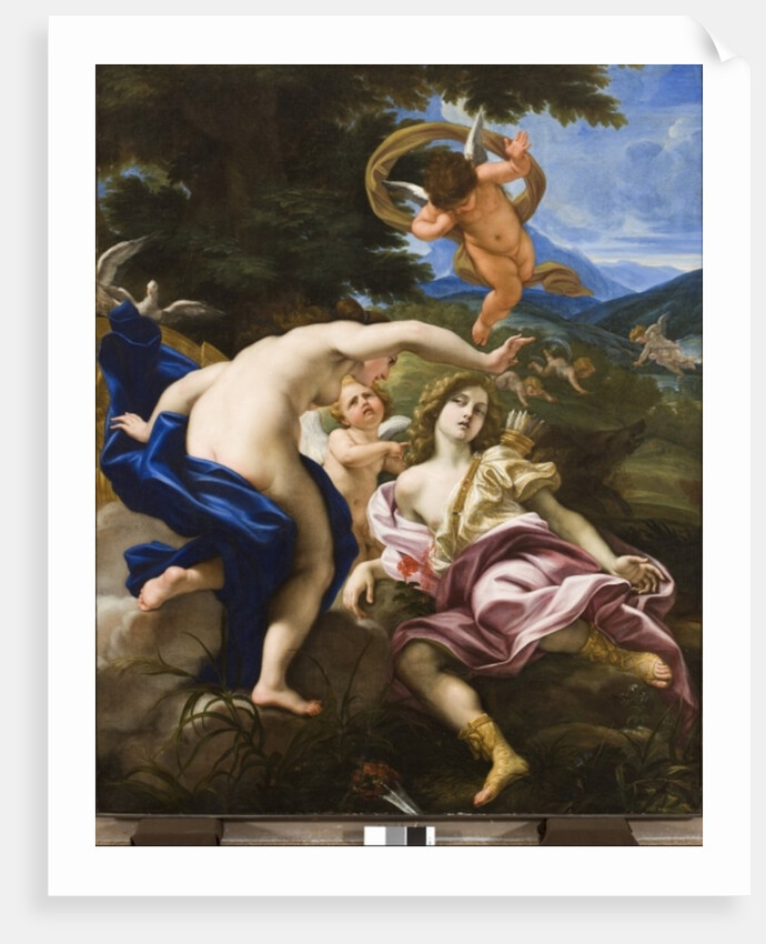 The Death of Adonis, c.1683-85 by Il Baciccio