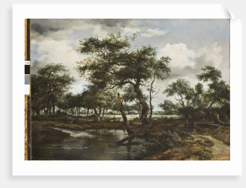 A Pond in the Forest, 1668 by Meindert Hobbema