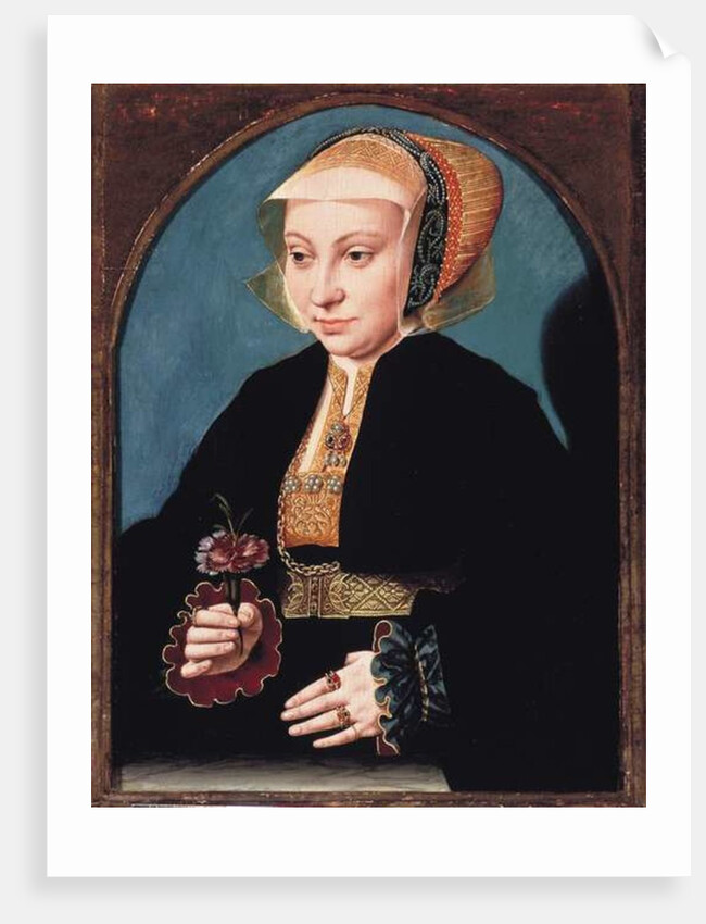 Portrait of a Lady, c.1539 by Bartholomaeus the Elder Bruyn