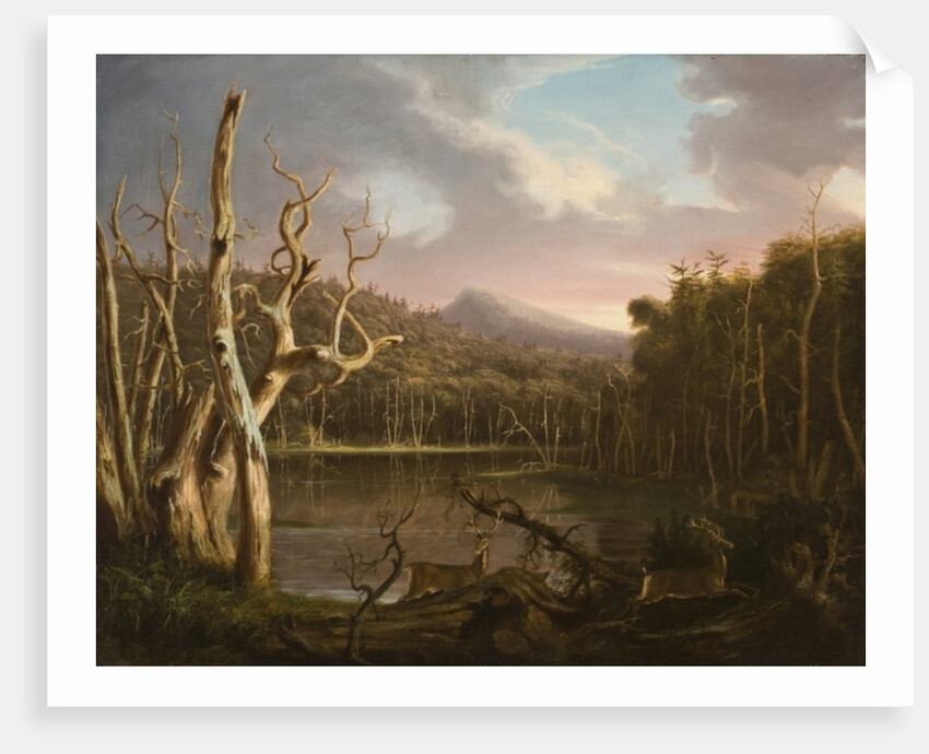 Lake with Dead Trees by Thomas Cole