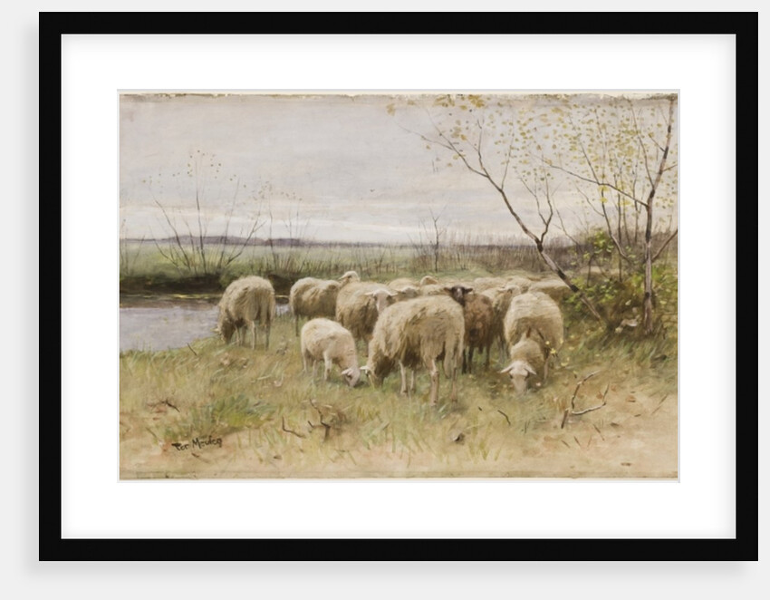 Sheep by Francois Pieter ter Meulen