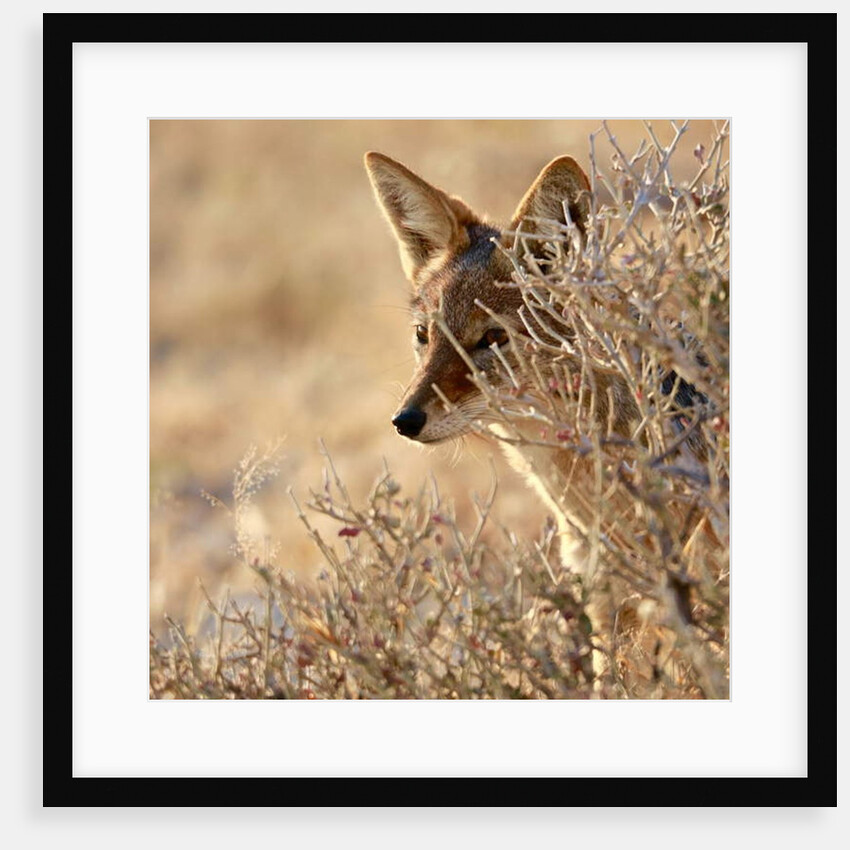 I Can See You, 2017 by Eric Meyer