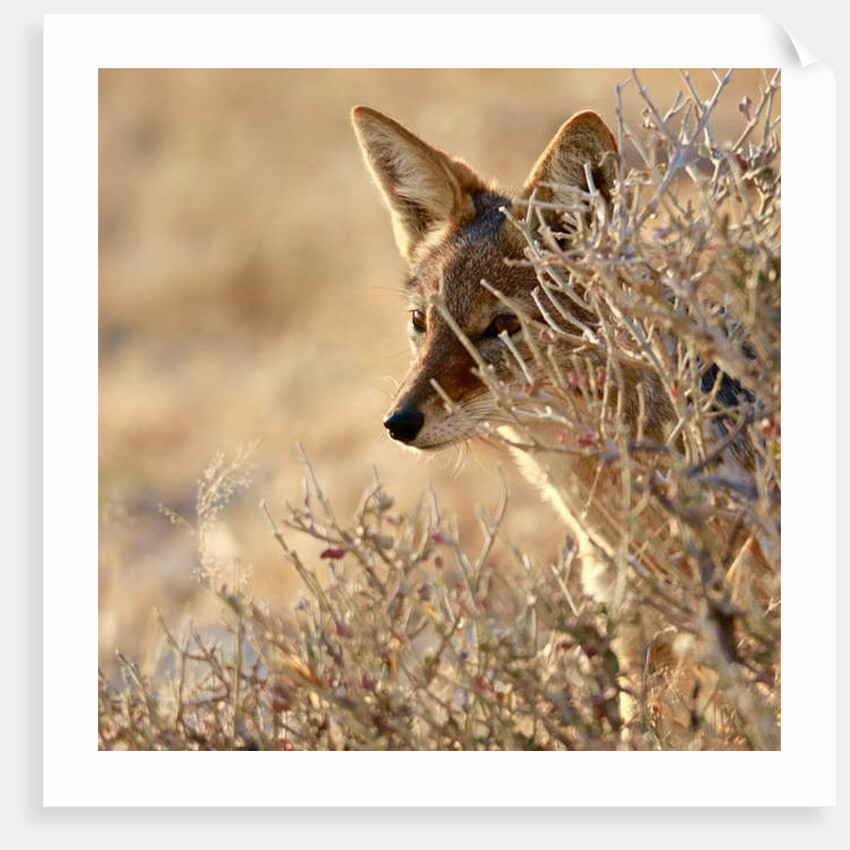 I Can See You, 2017 by Eric Meyer