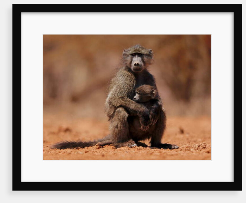 Mother and child, 2019 by Eric Meyer