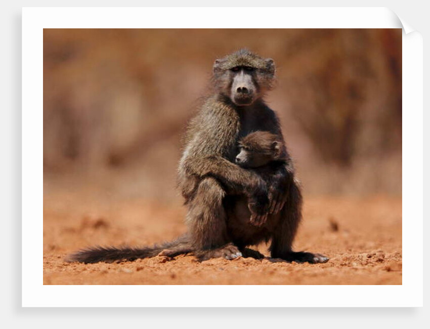 Mother and child, 2019 by Eric Meyer