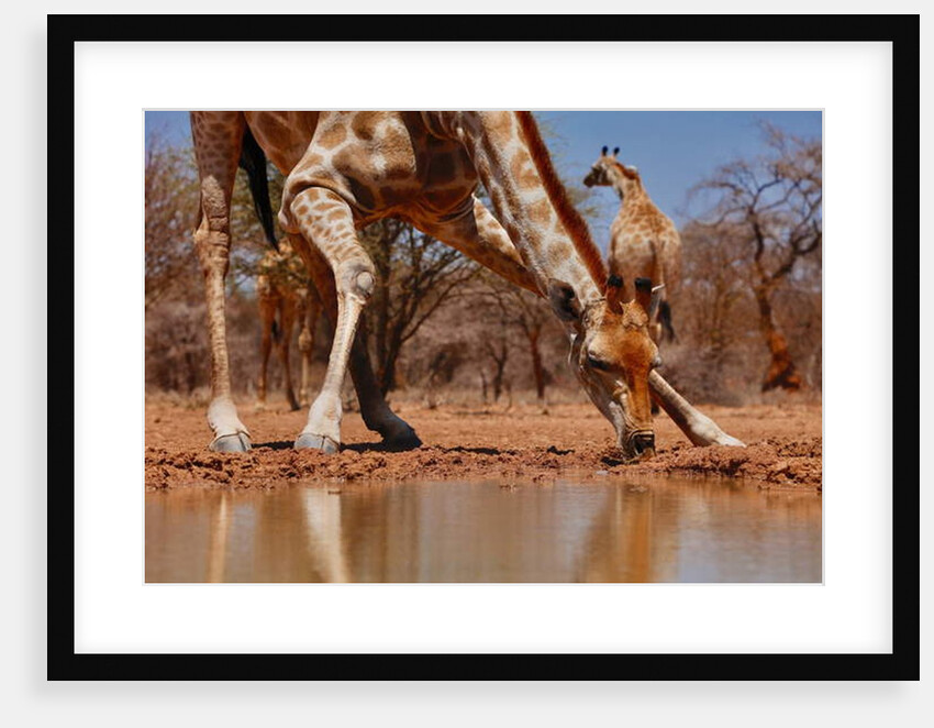 Drinking, 2019 by Eric Meyer