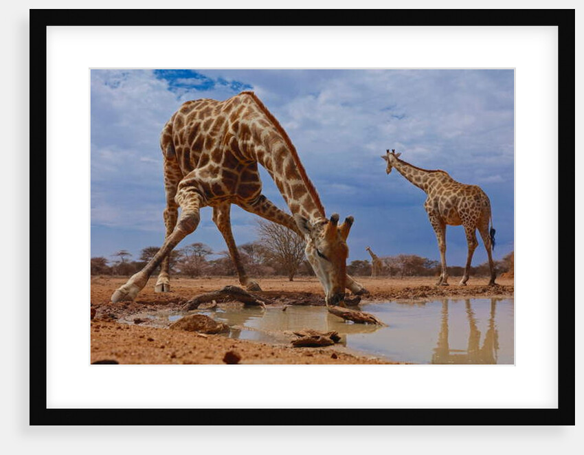 Getting Down, 2019 by Eric Meyer