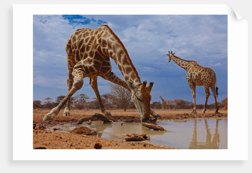 Getting Down, 2019 by Eric Meyer