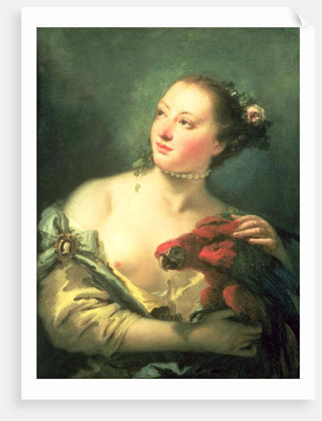 A Young Woman With a Macaw, 18th century by Giovanni Battista Tiepolo