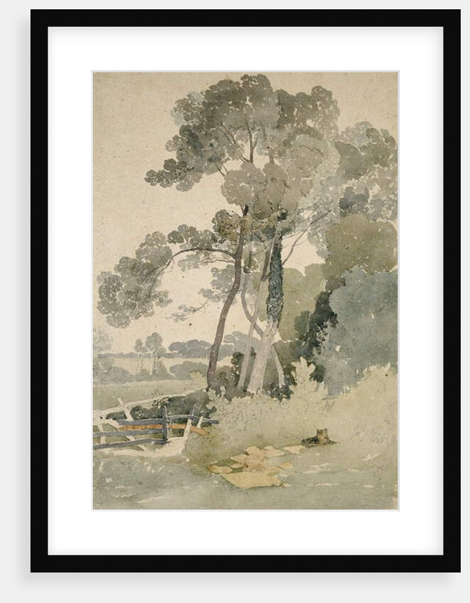 Near Brandsby, Yorkshire, 1865 by John Sell Cotman