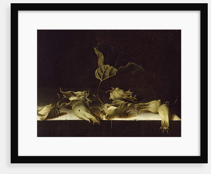 Still Life with Hazel-nuts, 1696 by Adrian Coorte