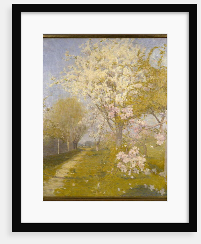 Apple Blossom at Dennemont, 1893 by Charles Edward Conder