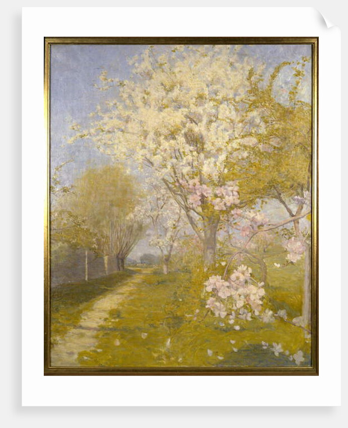 Apple Blossom at Dennemont, 1893 by Charles Edward Conder