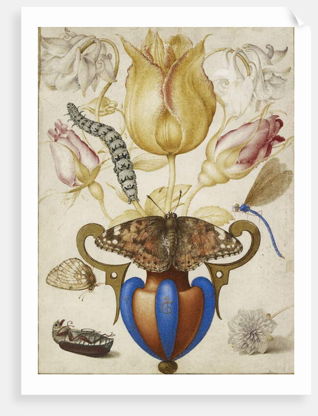 Arrangement of Flowers in a Vase, with Insects, 1594 by Joris Hoefnagel