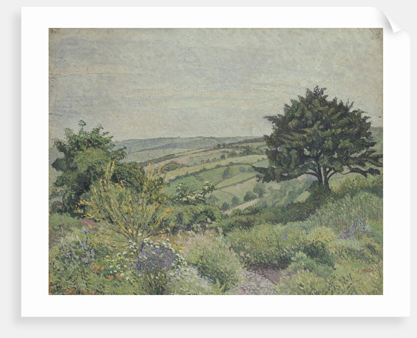 The Cottage Garden, Fishpond, 1915 by Lucien Pissarro