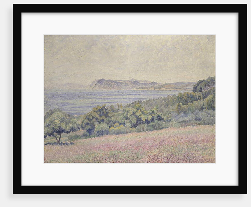 Thistles, Le Brusq, 1925 by Lucien Pissarro