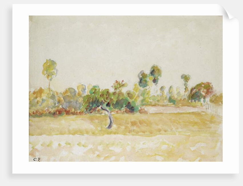 Study of the orchard at Eragny-sur-Epte, seen from the artist's house, c. 1886 - 1890 by Camille Pissarro