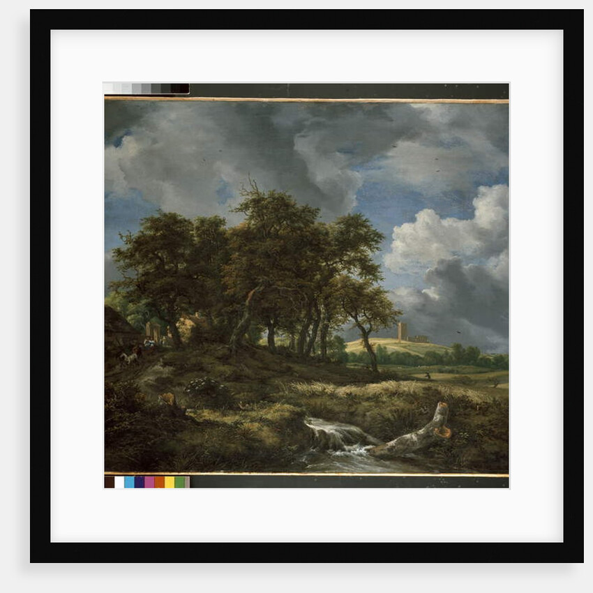 Landscape near Muiderberg, early 1650s by Jacob Isaaksz. or Isaacksz. van Ruisdael