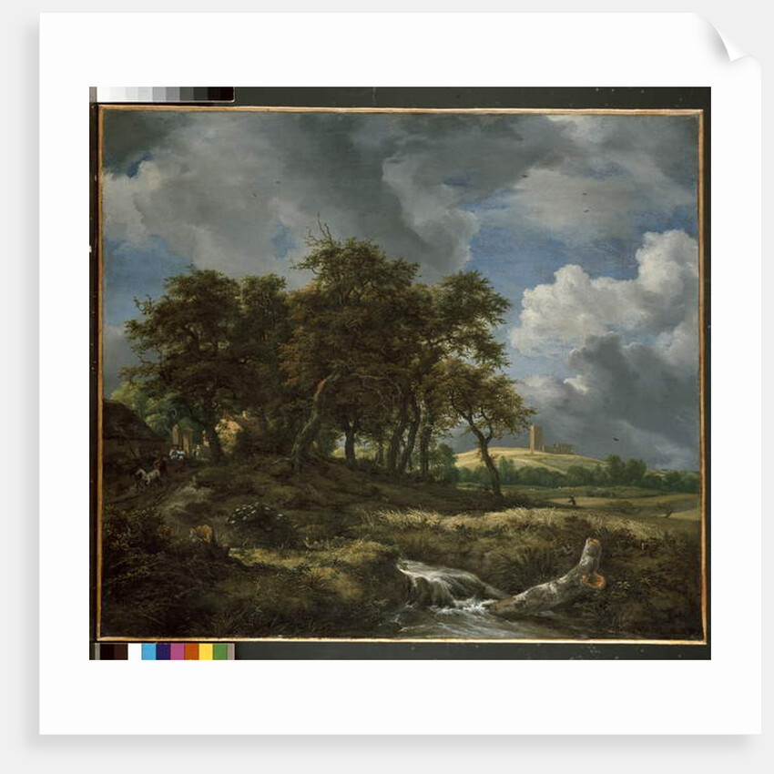 Landscape near Muiderberg, early 1650s by Jacob Isaaksz. or Isaacksz. van Ruisdael