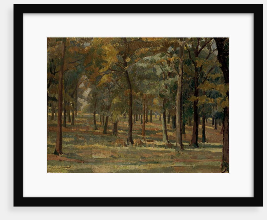 Richmond Park, 1914 by Spencer Frederick Gore