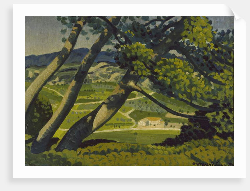Trees, Provence, 1912 by Derwent Lees
