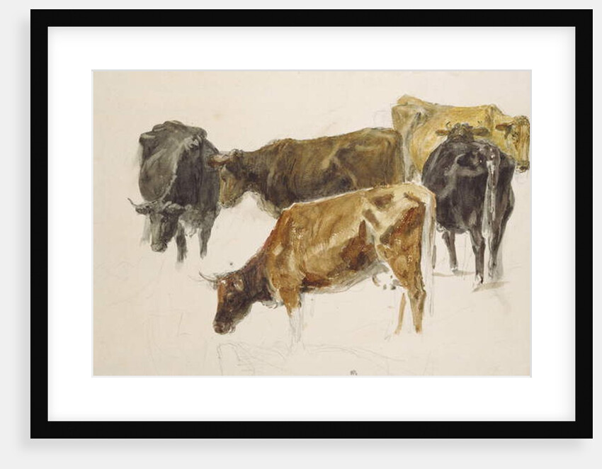 Study of a Group of Cows, c. 1801 by Joseph Mallord William Turner