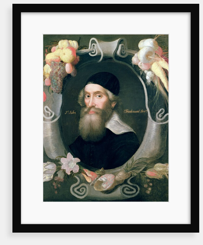 John Tradescant the Elder, 17th century by Emmanuel de Critz