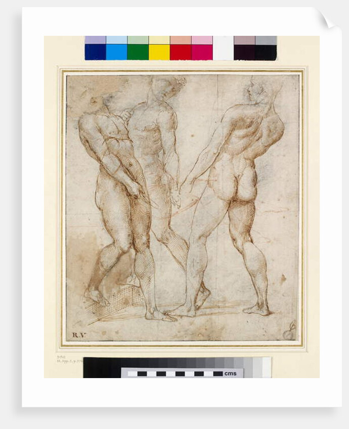 The Nude Bearers by Raphael (1483-1520)