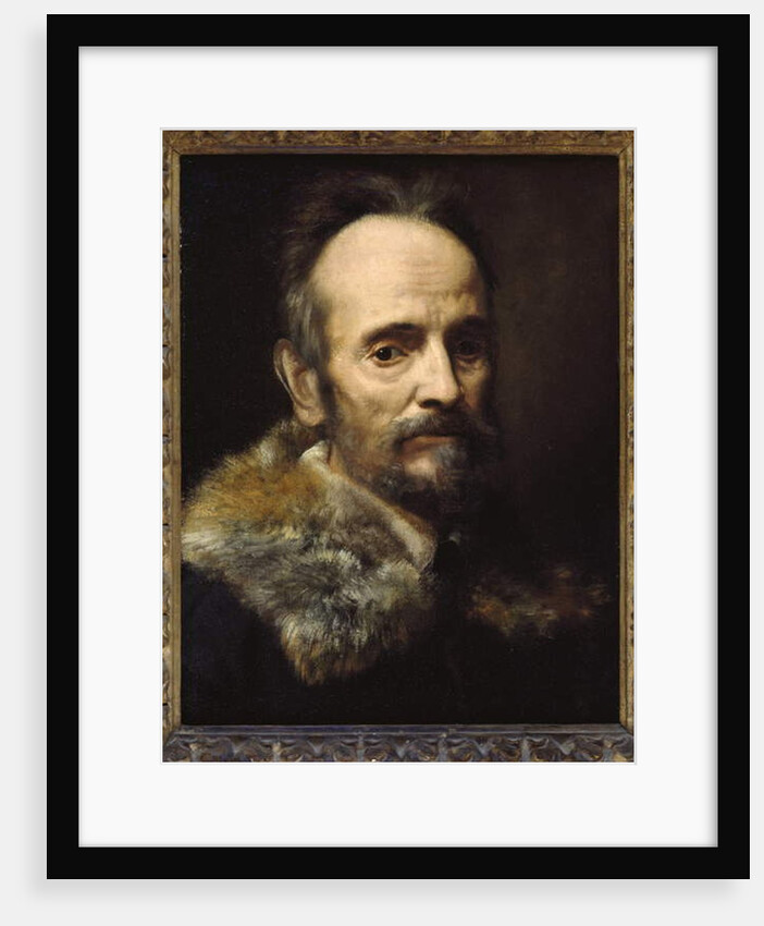 Bernardo Davanzati Bostichi by Alessandro Allori