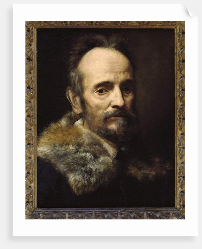 Bernardo Davanzati Bostichi by Alessandro Allori