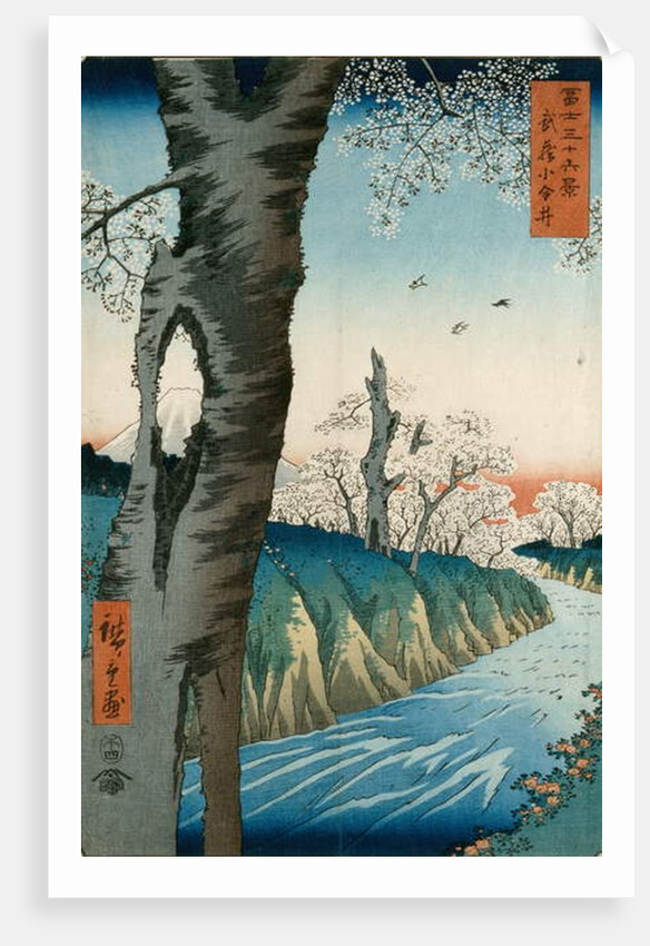 Koganei in Musashi Province, 1858-59 by Ando or Utagawa Hiroshige