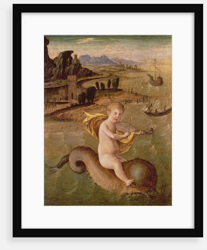 Arion Riding on the Dolphin by Francesco Bianchi Ferrari