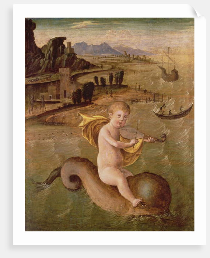 Arion Riding on the Dolphin by Francesco Bianchi Ferrari