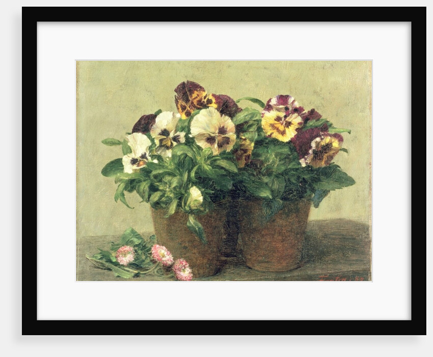 Still Life of Pansies and Daisies, 1889 by Ignace Henri Jean Fantin-Latour