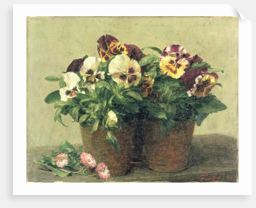 Still Life of Pansies and Daisies, 1889 by Ignace Henri Jean Fantin-Latour