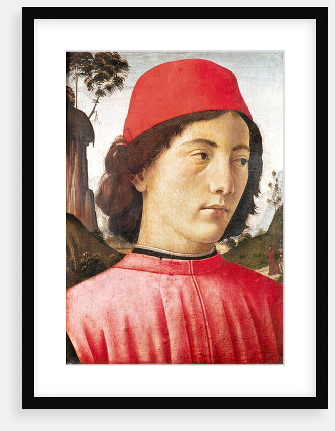 Portrait of a Young Man, 15th century by Domenico Ghirlandaio