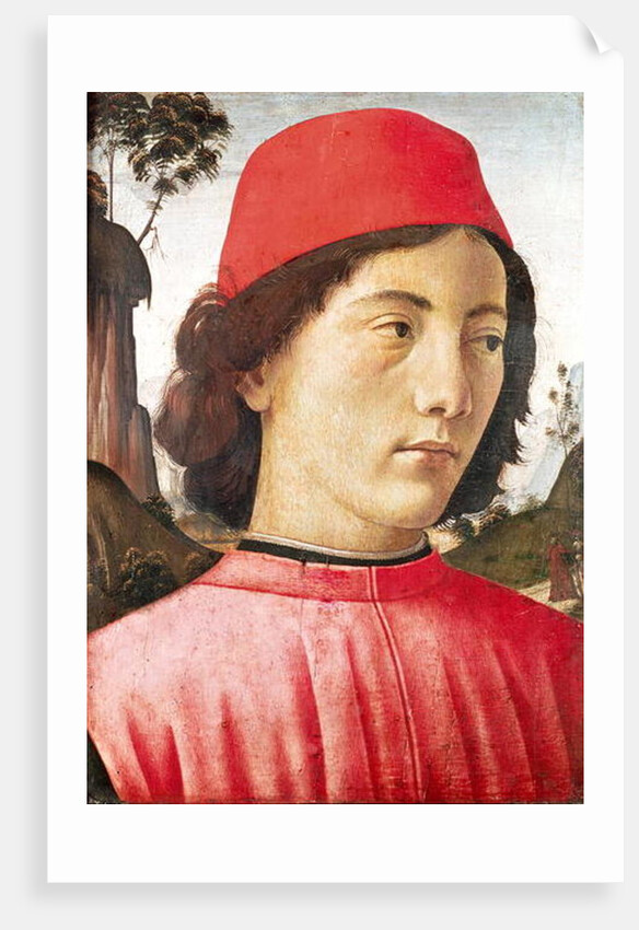Portrait of a Young Man, 15th century by Domenico Ghirlandaio