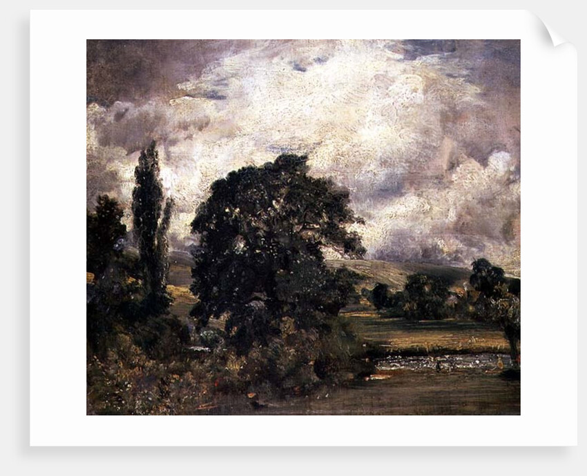 Water Meadows Near Salisbury, 19th century by John Constable