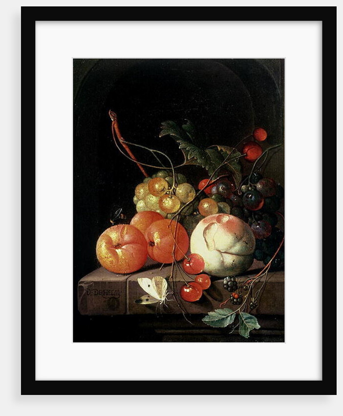 Still Life of Fruit, 17th century by David de II Heem