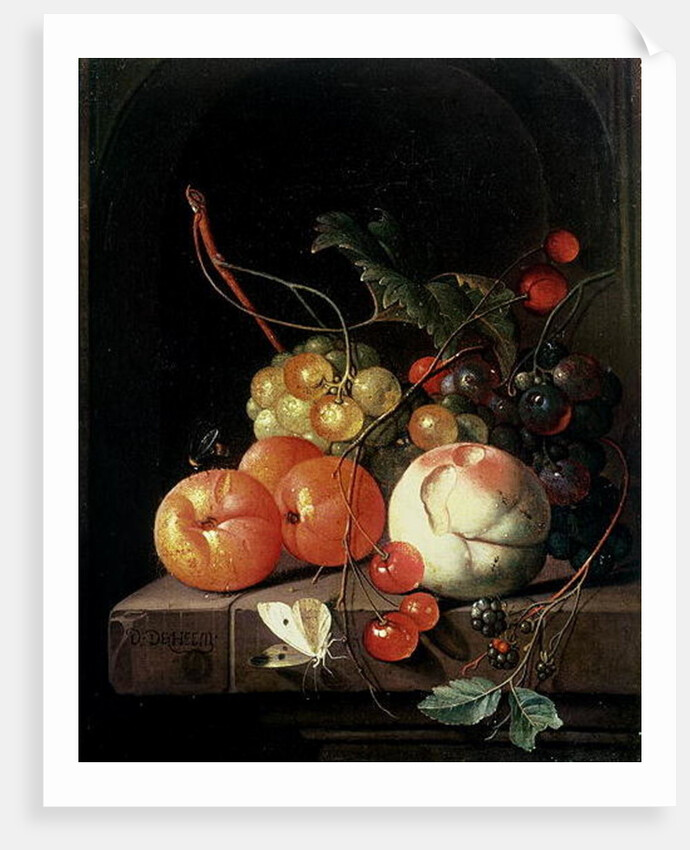 Still Life of Fruit, 17th century by David de II Heem