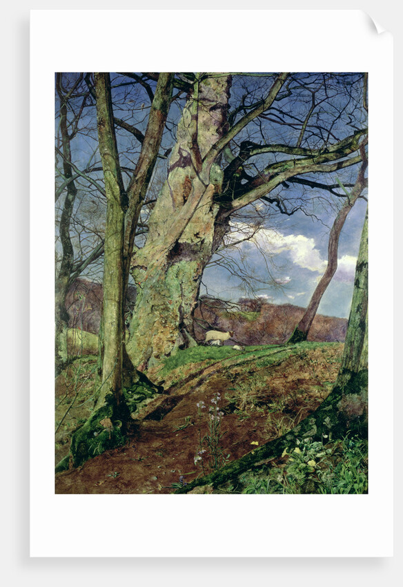 In Early Spring: A Study in March by John William Inchbold