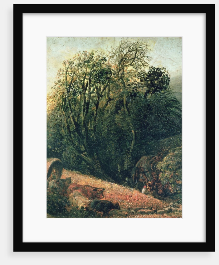 A Cornfield Bordered by Trees, 19th century by Samuel Palmer