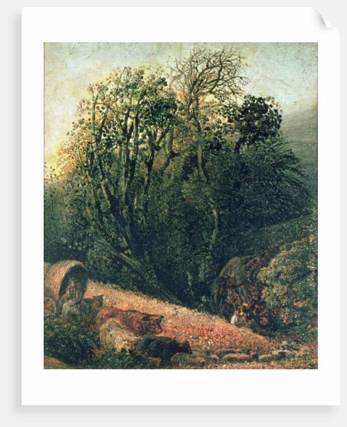 A Cornfield Bordered by Trees, 19th century by Samuel Palmer